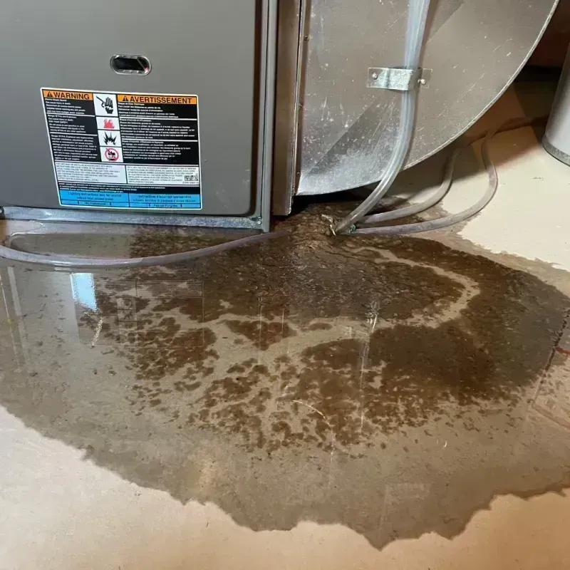 Appliance Leak Cleanup in Scott County, IL